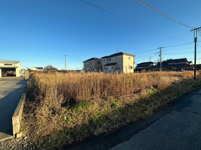 堤根_1000_2